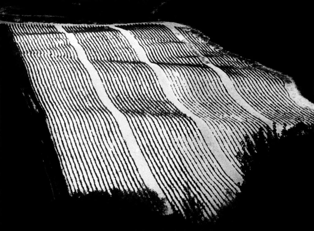 mario giacomelli